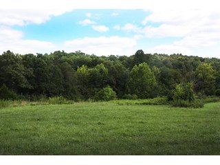 Property photo 7 - LAND AUCTION - 261+/- ACRES IN BRECKINRIDGE COUNTY